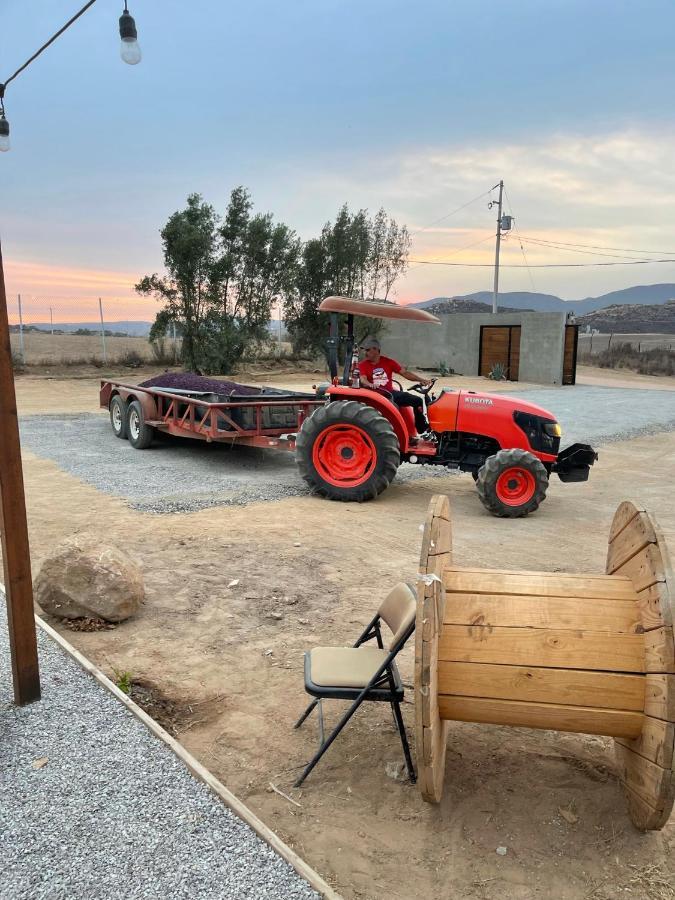 Finca Cazosa Villa Valle de Guadalupe Exteriör bild