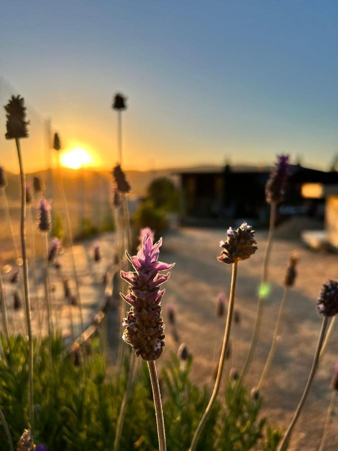 Finca Cazosa Villa Valle de Guadalupe Exteriör bild