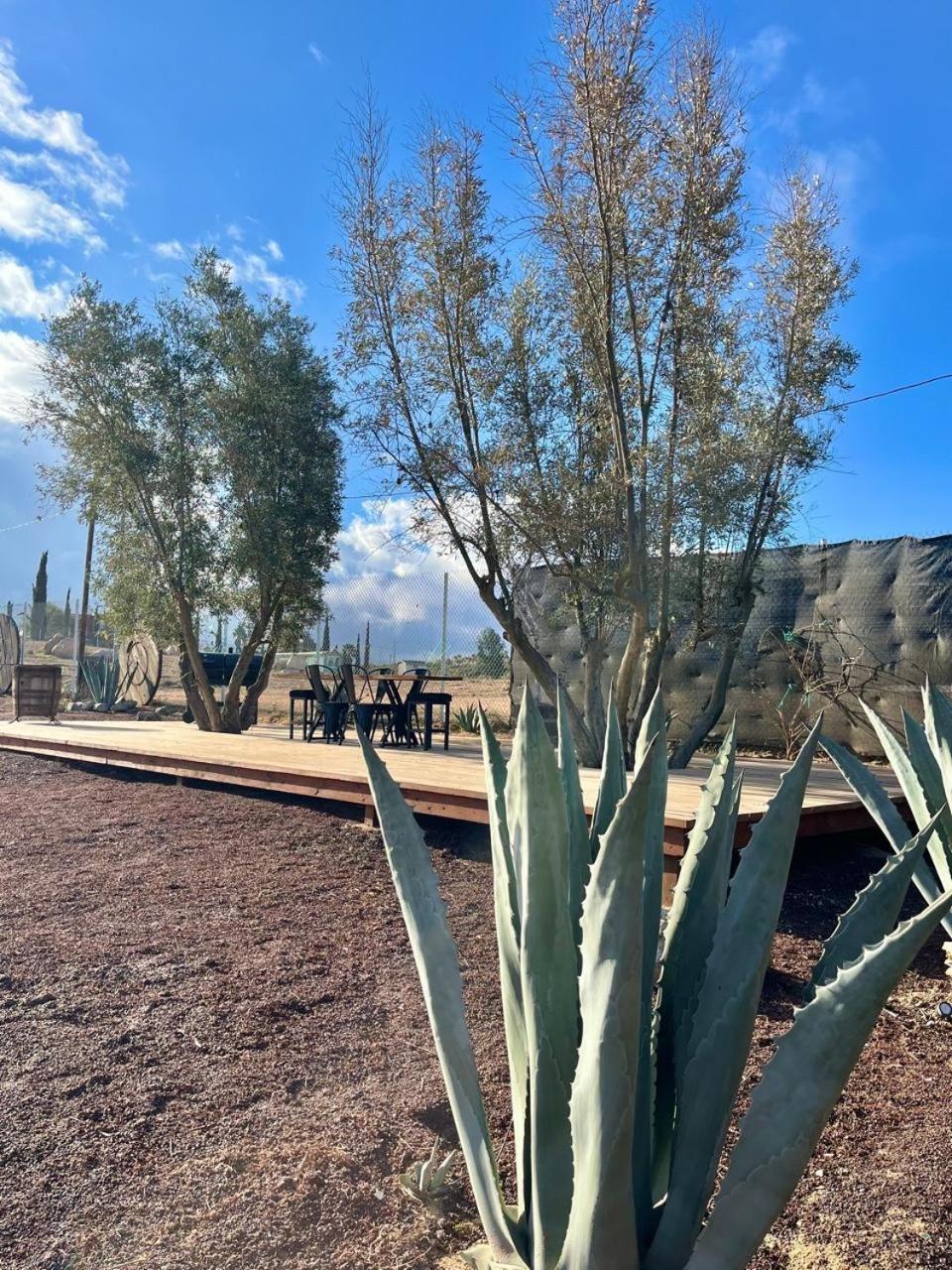 Finca Cazosa Valle de Guadalupe Exteriör bild