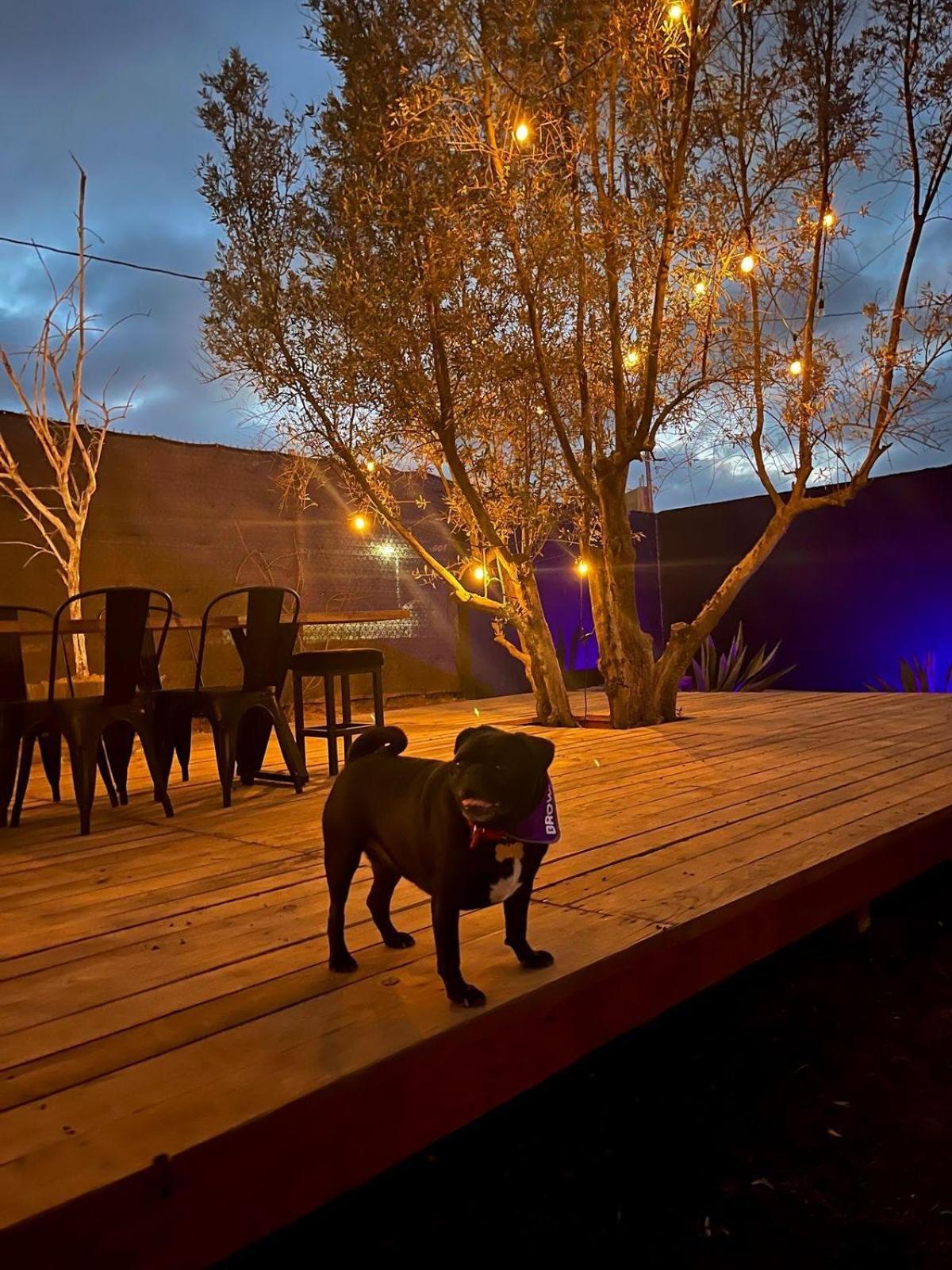 Finca Cazosa Valle de Guadalupe Exteriör bild